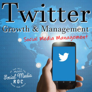 Twitter growth - Social Media Management